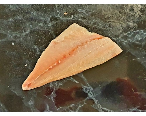 Fresh Sea Bream Fillet